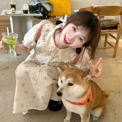 恶魔们2023